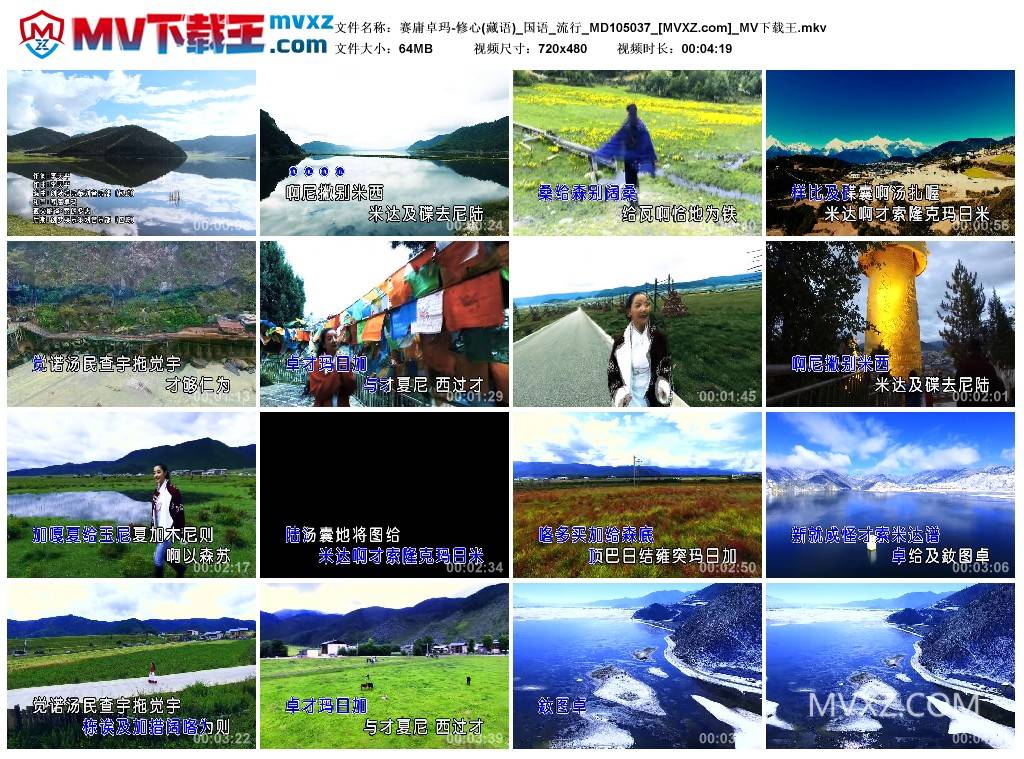 赛庸卓玛-修心(藏语)_国语_流行_MD105037